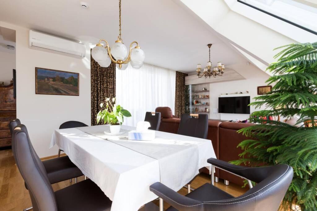 Grosses Penthouse #12 Mit Terrasse Und Aussicht Viena Exterior foto